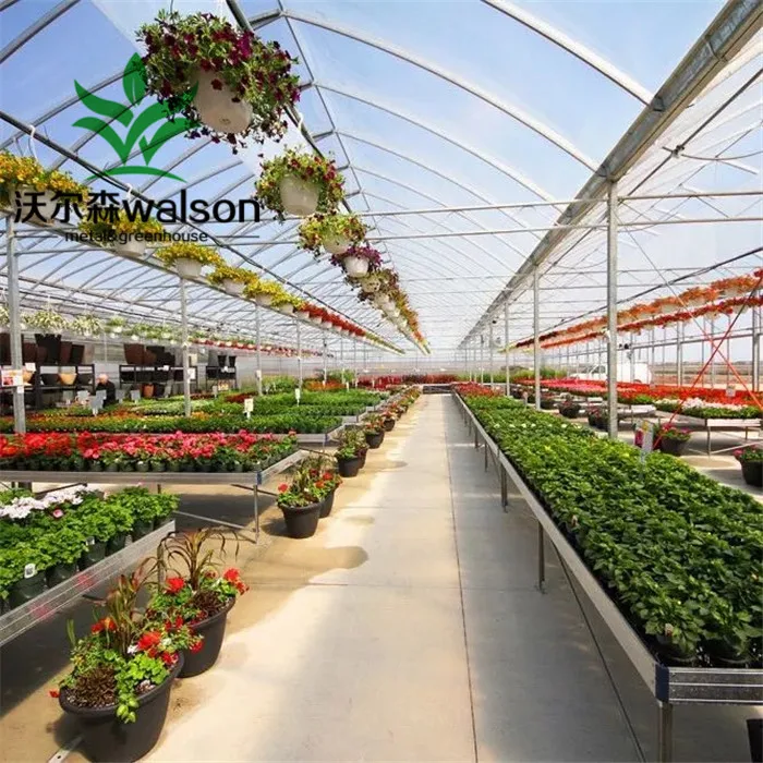 China Factory Export Cheap Greenhouse Farm Green House Design For Agriculture Production