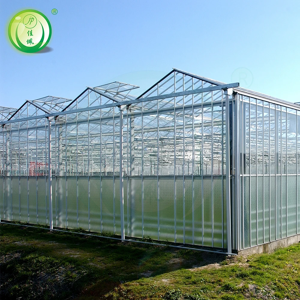 Jiapei greenhouse factory supply modern venlo greenhouse 8mm polycarbonate  agricultural greenhouses pc with hydroponic system