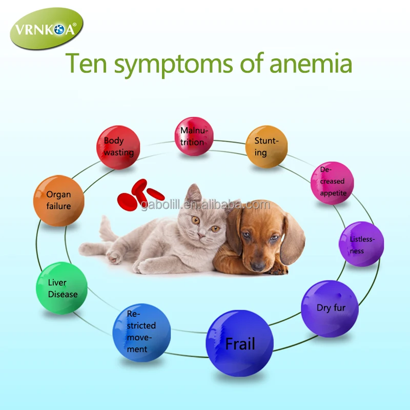 Vitamins for  fip / fipv 6ml 20mg
