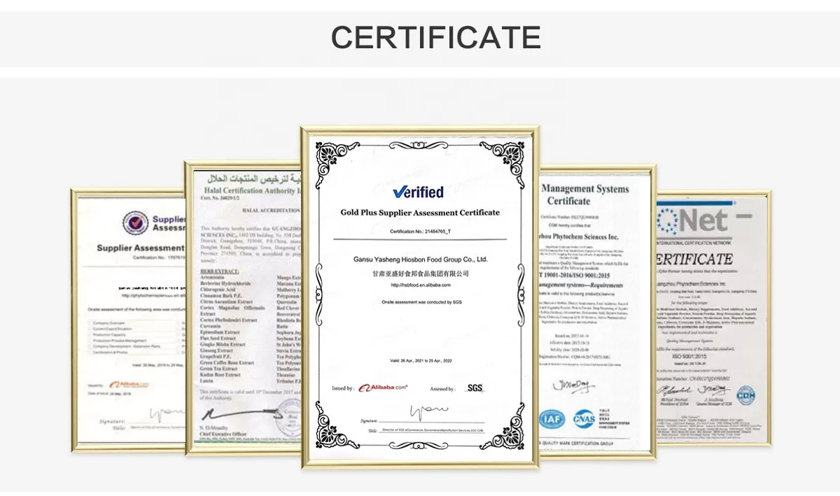 Chinese Wolfberry Extract / Goji Berry Extract Powder With Best Price