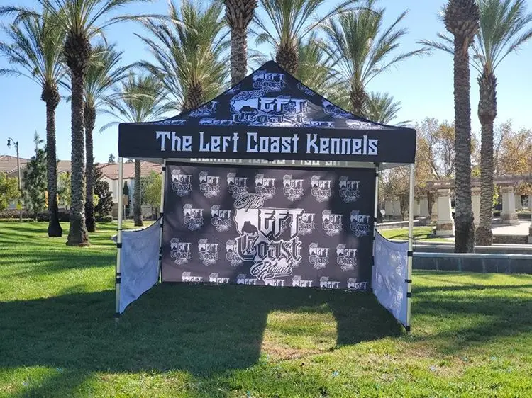 10x10ft 3x3m Custom Aluminum Canopy Tent Advertising Pop Up Tents For Trade Show Display Events Outdoor