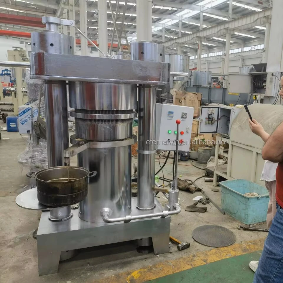 Hydraulic Olive Oil Press Machine and Professional Cold Pressed for Seeds Walnut