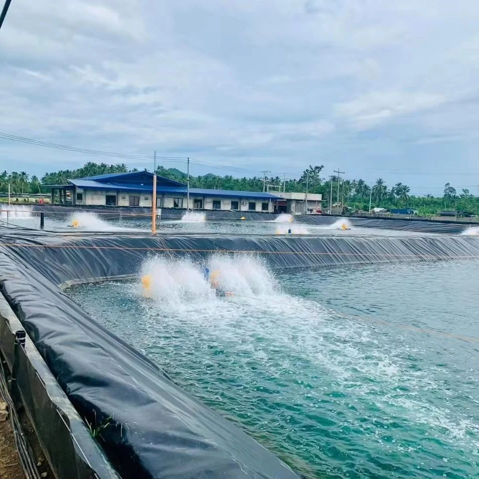 1mm 2mm Waterproof Geo Membrane Plastic Artificial Lake Tank Dam Lining Swimming Pool Fish Farm Pond Liner