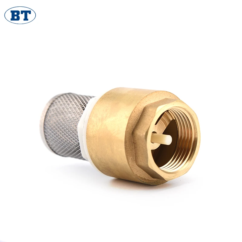 BT5003 China supplier online shop cheap price brass spring check valves with ss wall