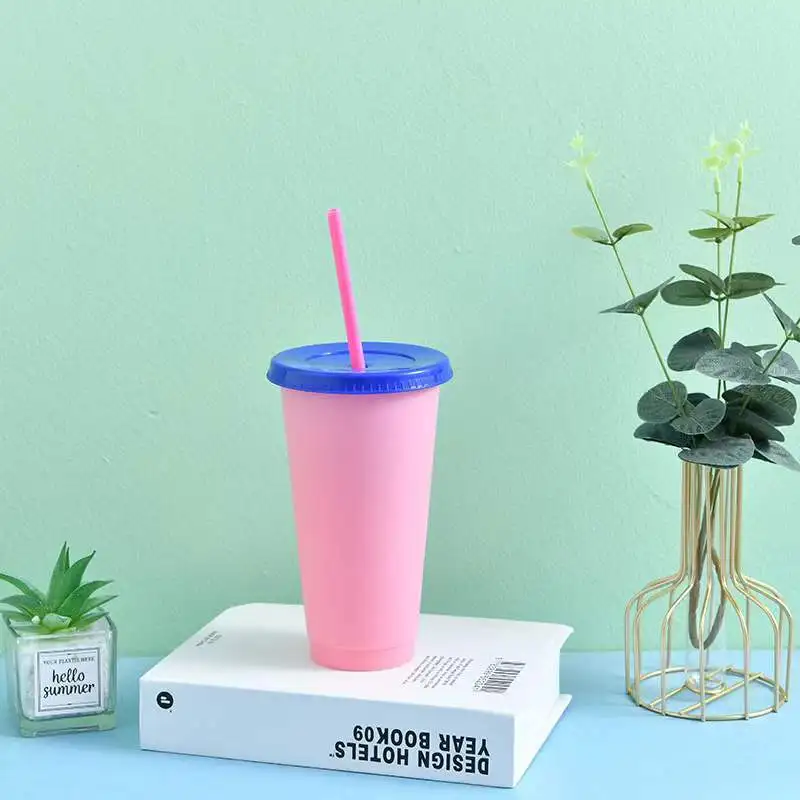 LeMuna Warm and cold color-changing cup 10-color set large capacity straw cup summer straw plastic cup