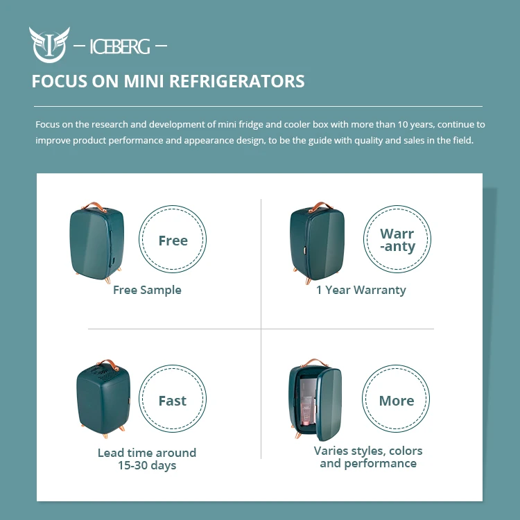 Wholesale 6 liter skin care refrigerator 12 volt refrigerator room fridge