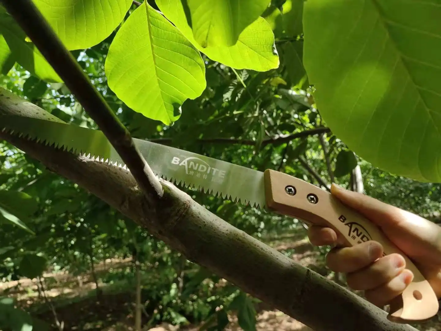 400mm High quality pruner saw garden branch hand tree saw with re handle for wood