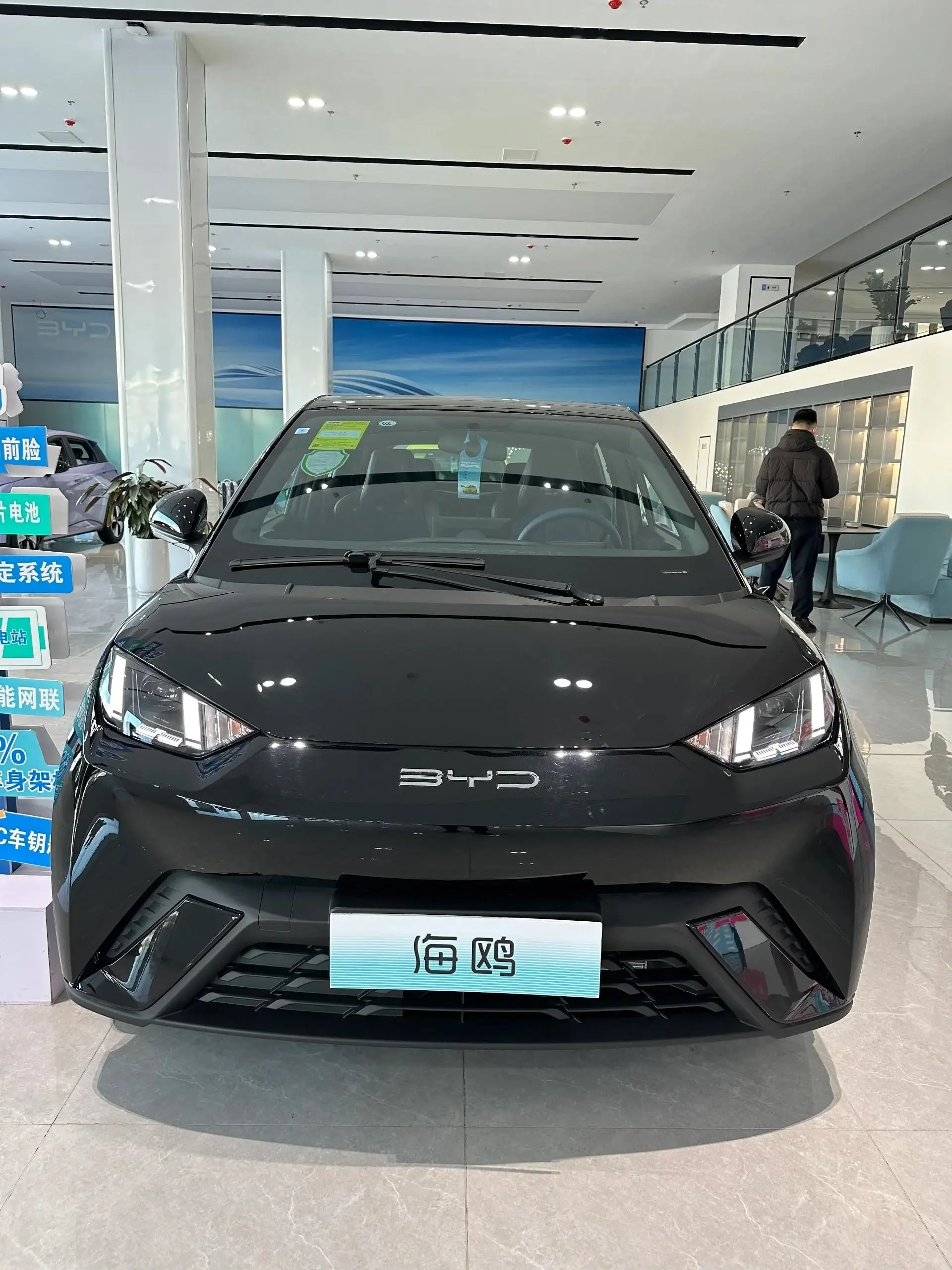 2024 BYD Electric Car Seagull Flying Version Ev Eco-Friendly Vehicle Small Mini CarHigh-Speed 4 Seats BYD Seagull