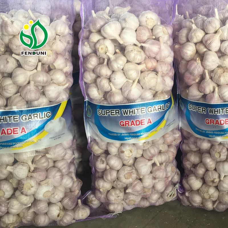 Quality Fresh Normal White Galic Ajo Fresco Purple Garlic Red Garlic With 10kg/20kg mesh bag