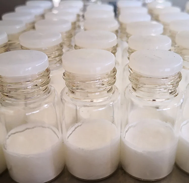 CE 60C Degree 6Kg Vial Rubber Stopper Sealing Lyophilization Freeze Dryer