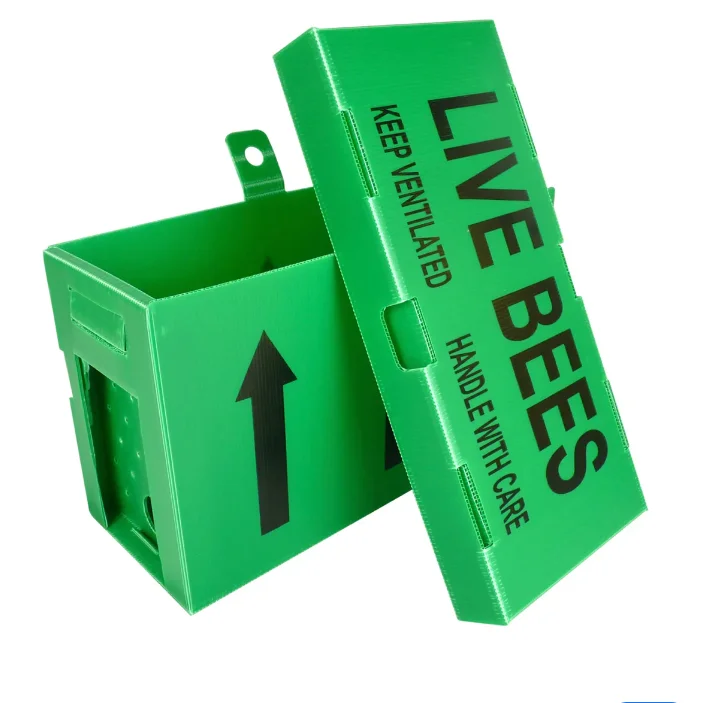 5 frames 6 frames Coroplast corrugated plastic nuc box for bee keeping