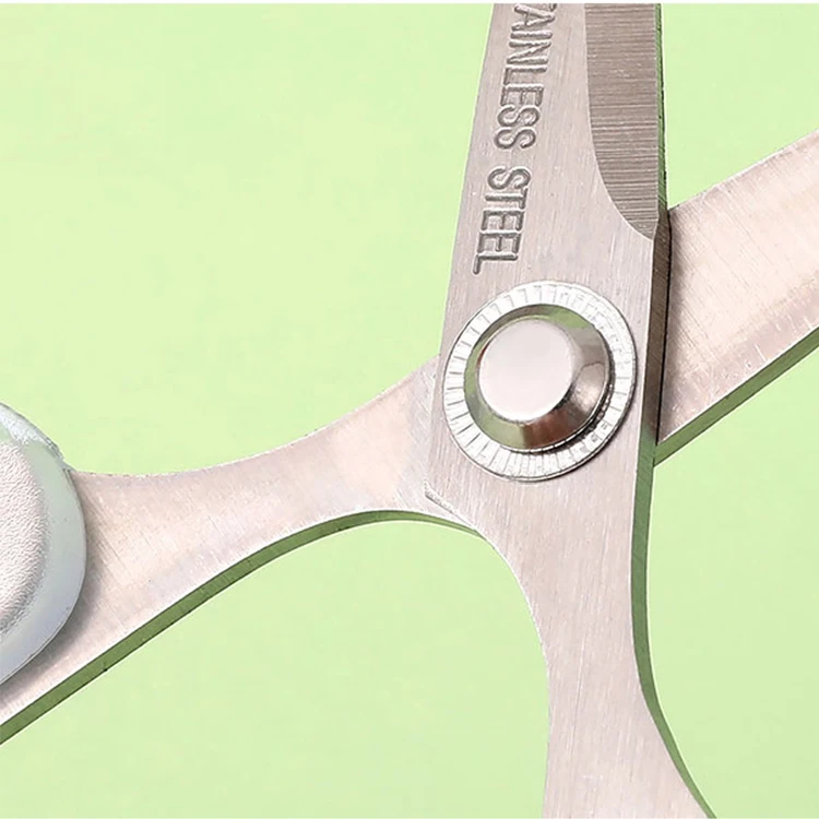 OULE Transparent Handle Dressing Scissors Scissor Wholesale For Office  Stationery Scissors