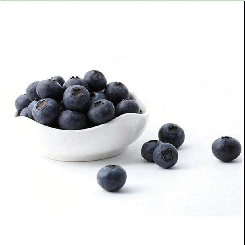 artificial Lifelike Mini Blueberry Fake Decorative Blueberry Fruit