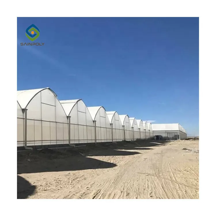 Cheap diy 3 tier multi span film agricultural frame greenhouses for tomato