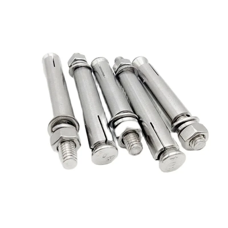 304/316/316L Stainless Steel Screws Standard Expansion Anchoring Set Screw Chemical Anchor Bolt