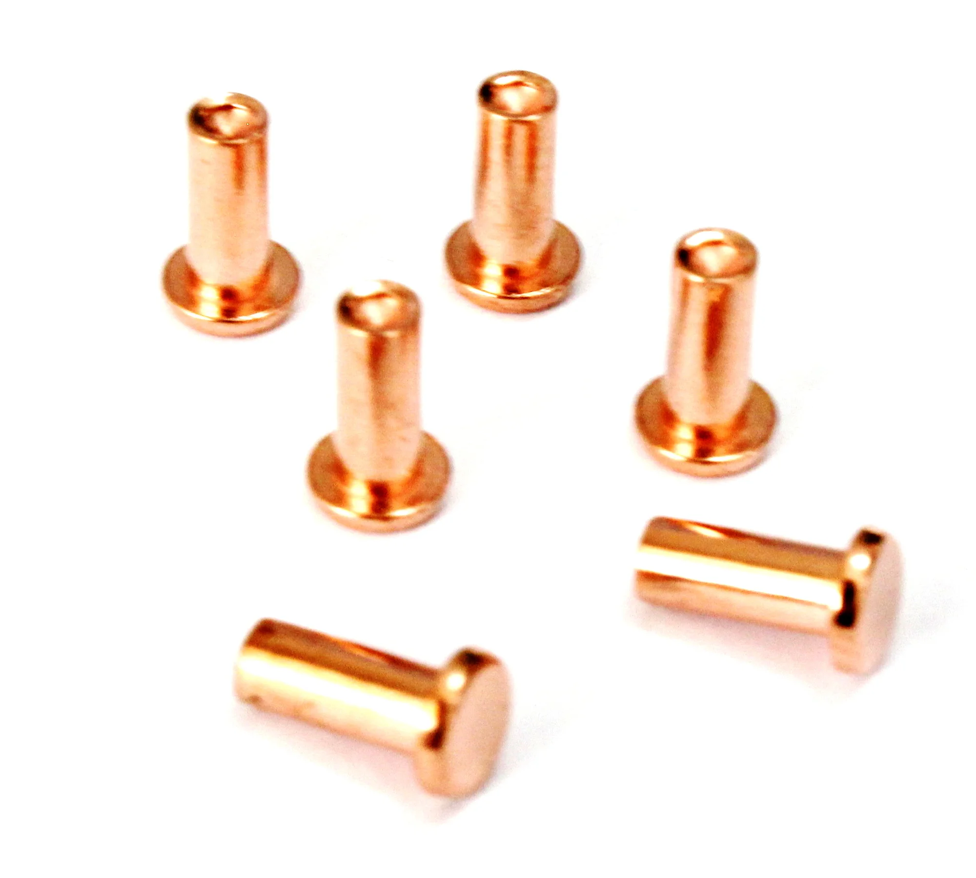 The Copper Hollow Rivets with long shank