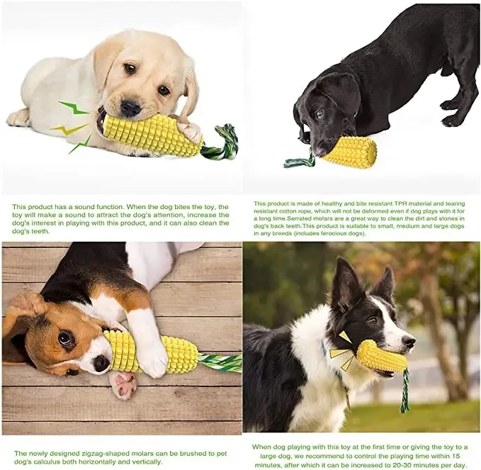 Amazon Hot Sale Easy Clean Corn Shape Interactive Toothbrush Safe TPR Pet Toys For Dog