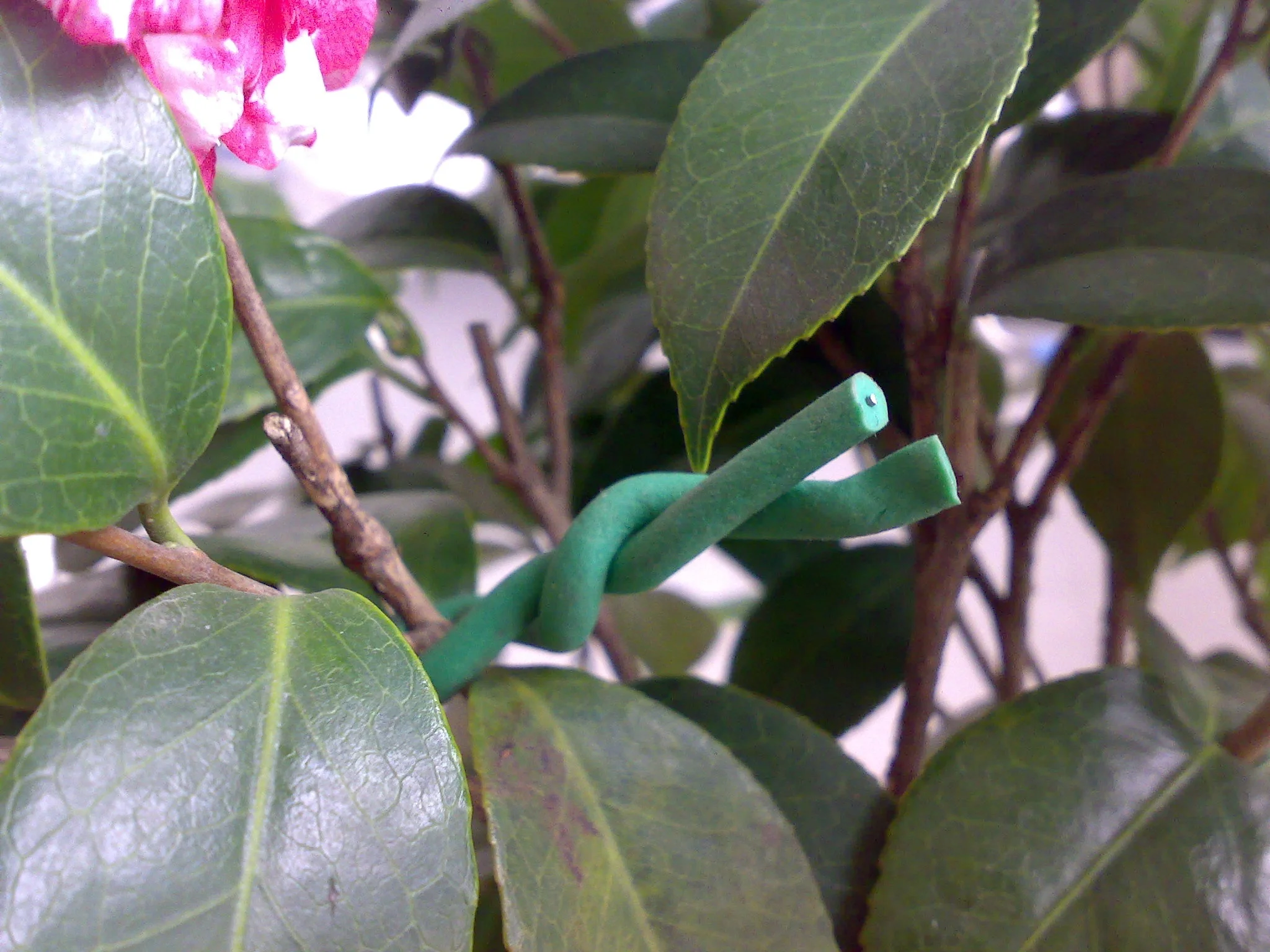 waterproof stretchable plastic SOFT TPR plant tie tape garden grape support