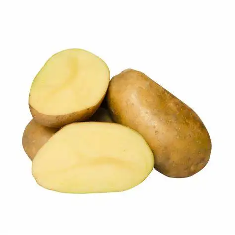 Свежий картофель свежий популярный Овощной экспорт