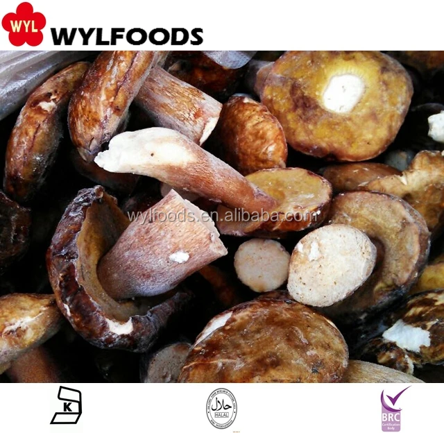 Frozen Whole Boletus Edulis Fresh Cultivated Fungus Slice Raw and Cube for Food and Health Supplements