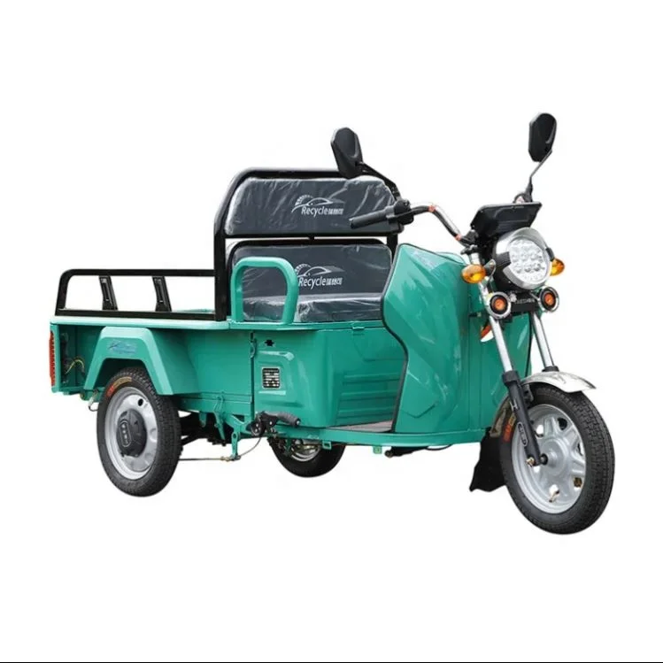 Factory Direct Selling Tuk 1000 W Disabled Electric Tricycle With Price