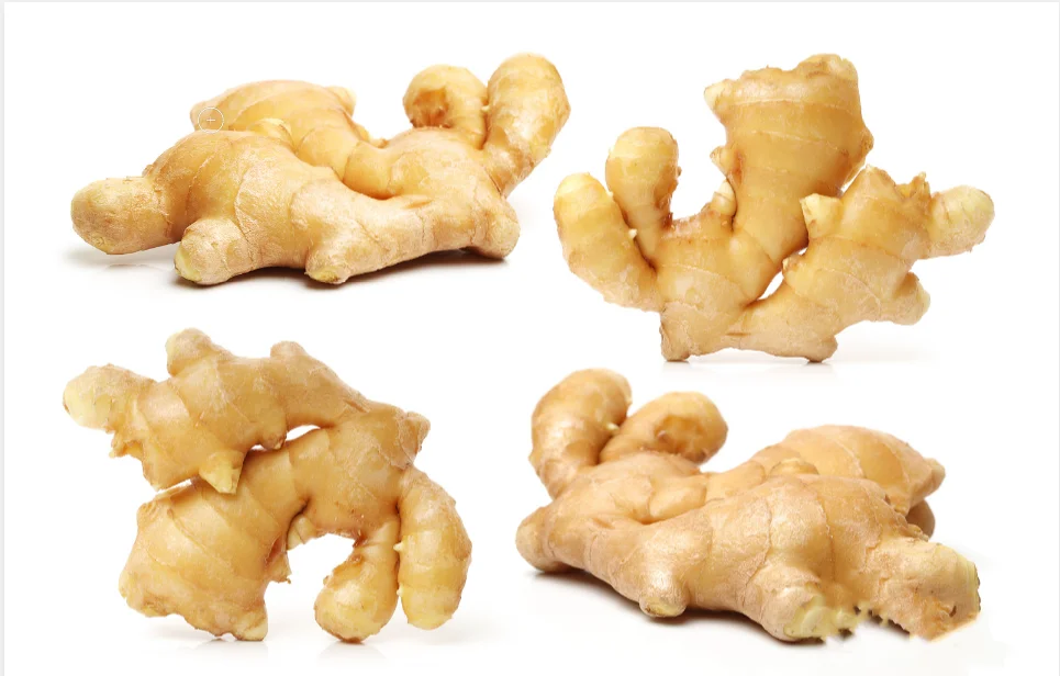 China High Grade High Quality and Lower Price High Ginger from China Factory Direct Sales