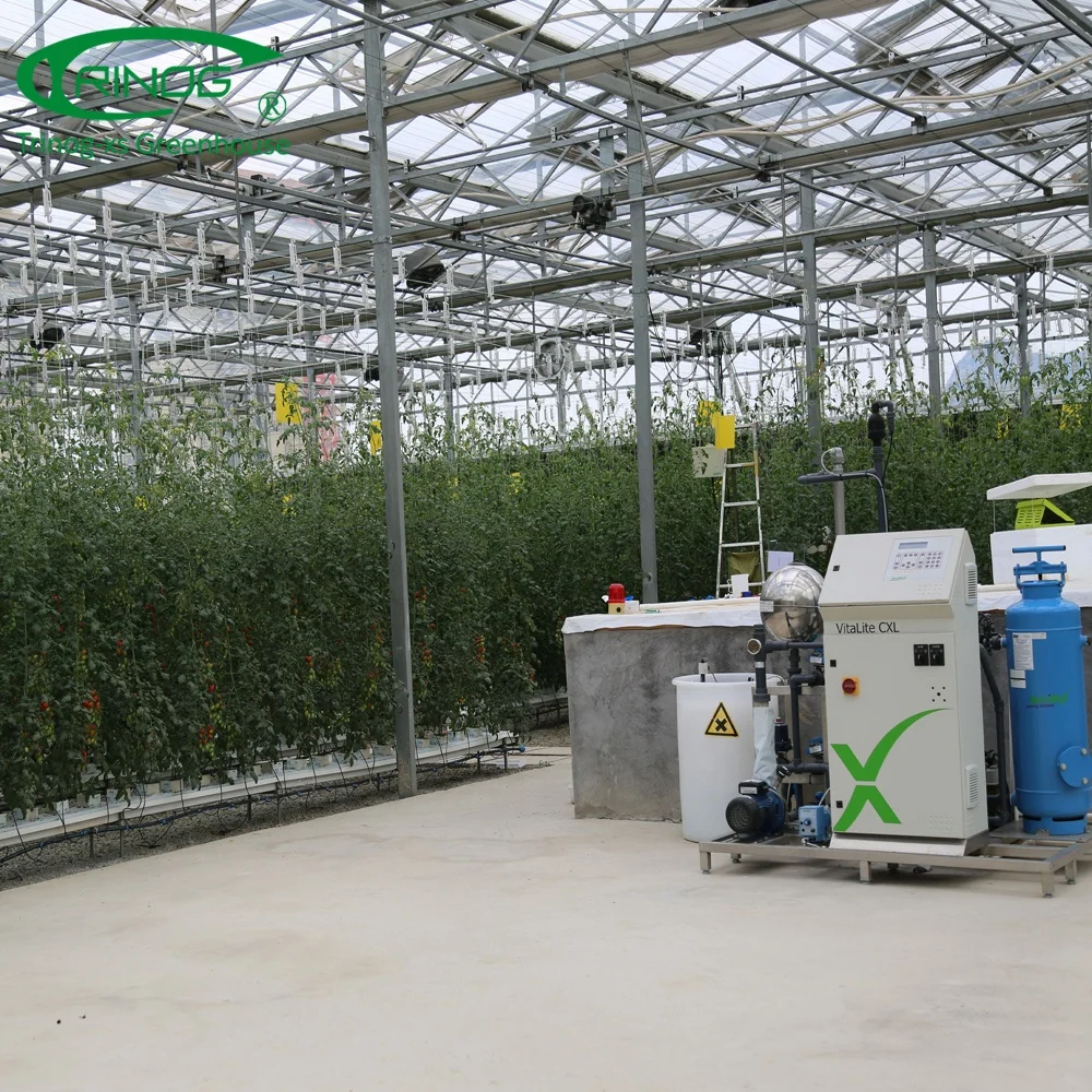 Glass tomato hydroponic greenhouses farming equipment