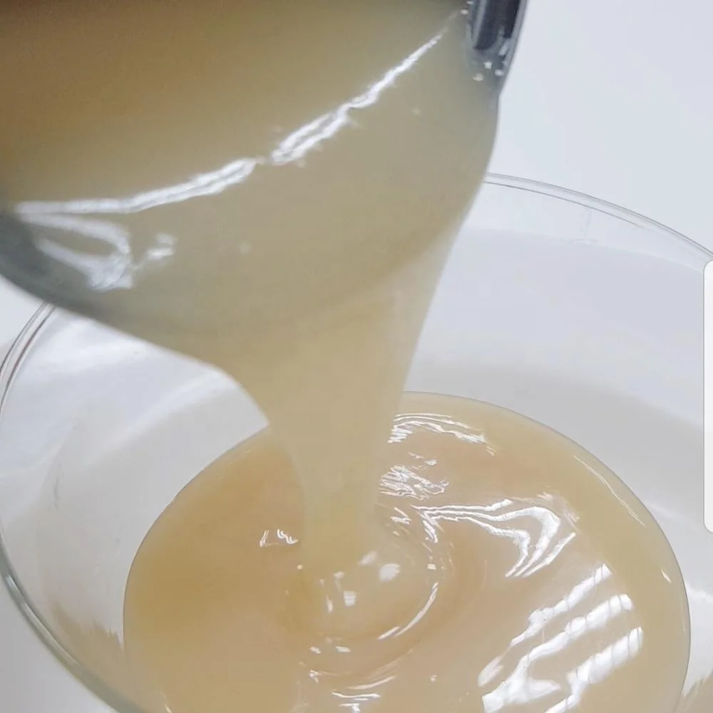 
510g canned sweetened condensed coconut milk plant-based suitable for vegans 