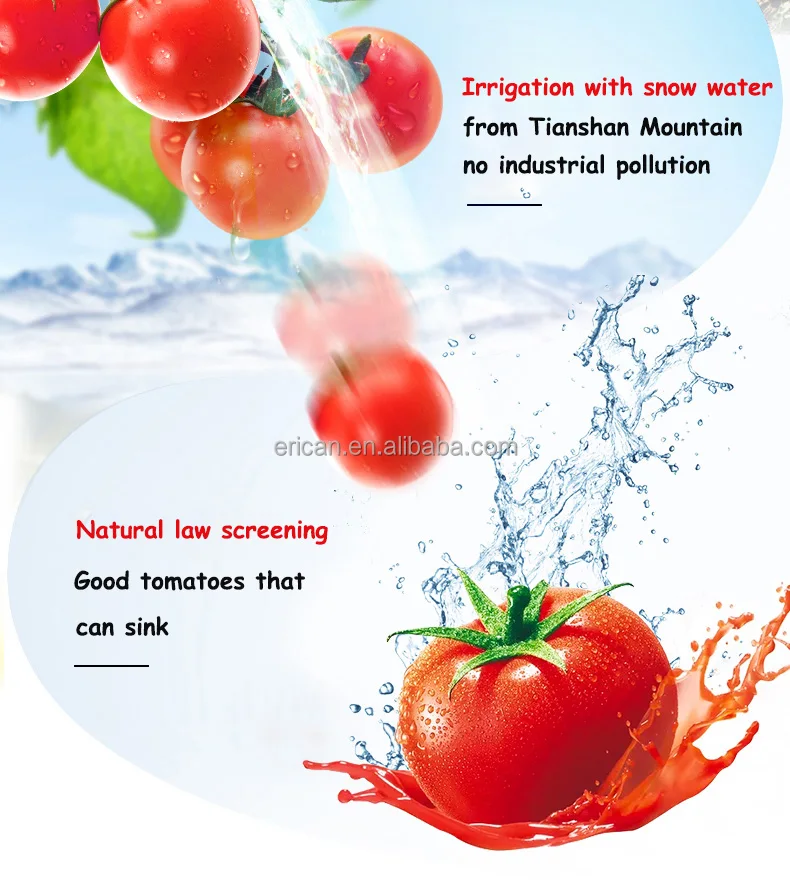 Double Concentrate Canned High Fresh Quality Tin Tomato Paste supplier brix 28-30%