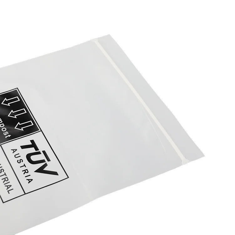 wholesale custom logo frosted plastic bag clothes zip lock self sealing bag clothing packaging frosted zipper bags prin  ( FD91)