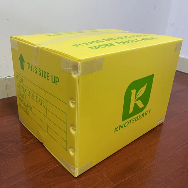 Factory Custom High Weight Holding Polypropylene (PP) Plastic Corrugated Box