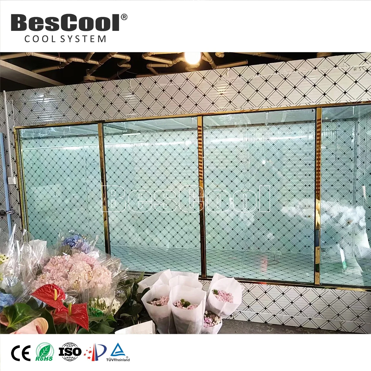 Охладитель Bescool розничный цветочный магазин продуктовый новая панель холодная комната стеклянная дверь отели
