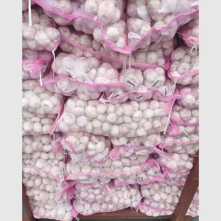 fresh garlic for malaysia & lowest price  2.5KGS*4 Mesh bag packing hotsale
