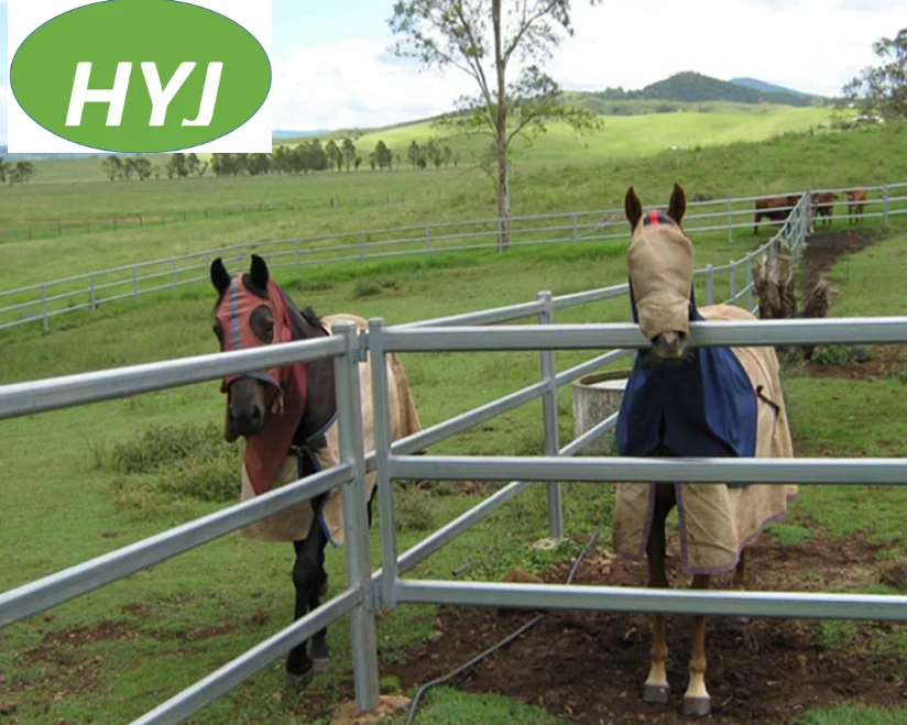 Portable Hot Sale Galvanized Metal Farm Equipment For Dairy Cow Cattle Yards Cubicles From China