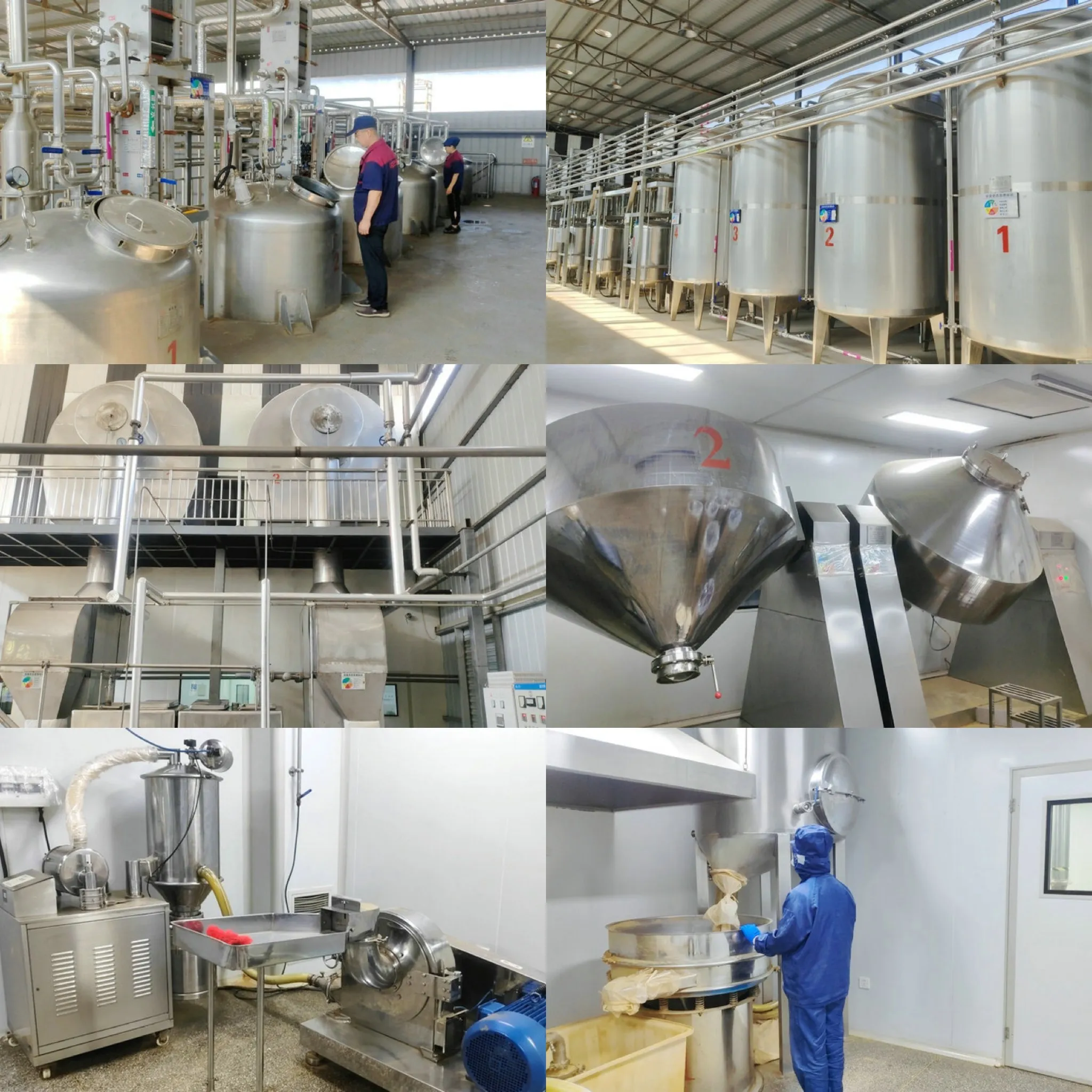 EU STOCK BULK JHD Wholesale Natural USDA & EU Organic Bulk Chlorella Spirulina Tablets 500mg 400mg