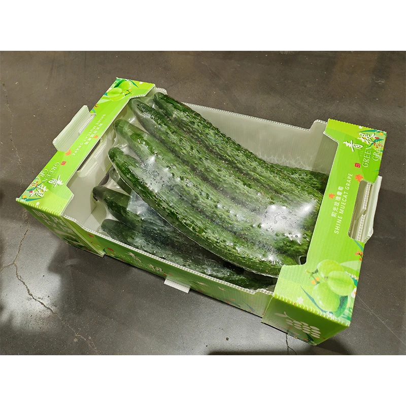Yuexin Custom Corrugated Paper Shipping Box Waterproof Anti-Mildew Agriculture Storage Bananas Oranges Food Safe Printed Carton