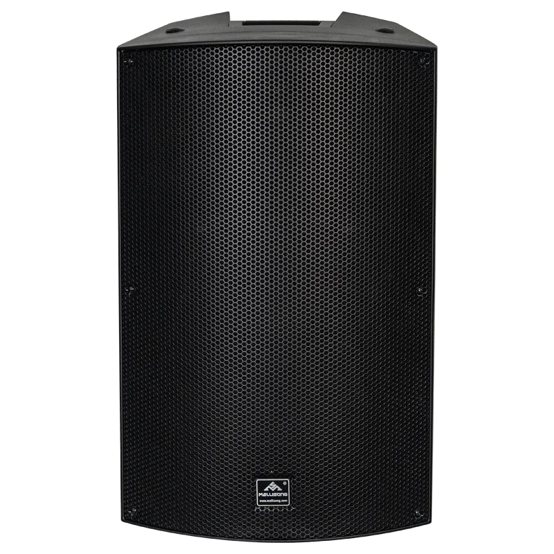 15-Inch Two-Way Active Loudspeaker for Wedding Parties Audio System PA Monitor with Stage pro audio application