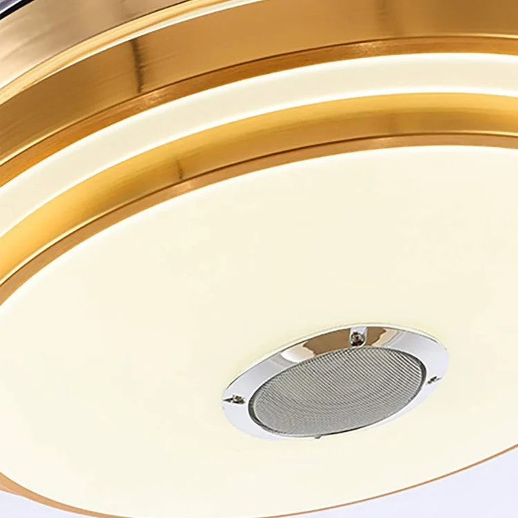 Modern Ceiling Fan Lighting Reversible Fan Speaker LED Ceiling Light Dimmable Lamp with Remote Control and App Ceiling Lamp