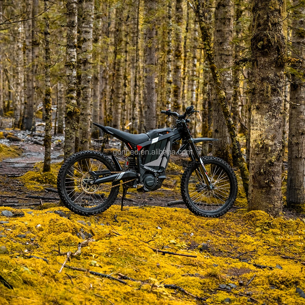 Высокая скорость 88 км/ч R1 dirt motorcycle 8000 Вт мотор мощный Электрический внедорожный мотоцикл