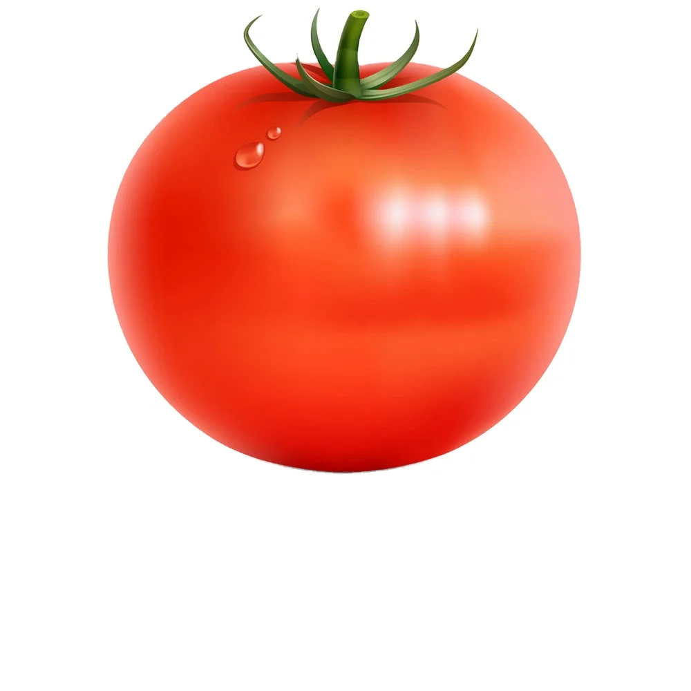 Tomato Price Fresh Tomato Packing In Boxes