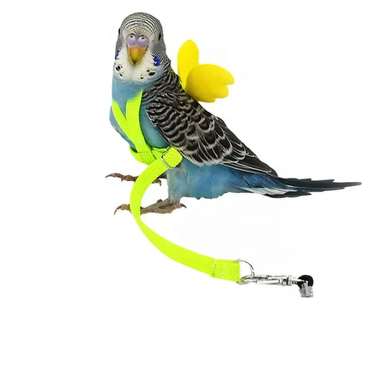 Mini Bird Parrot Pet Birds Harness Harness For Sale Near Me