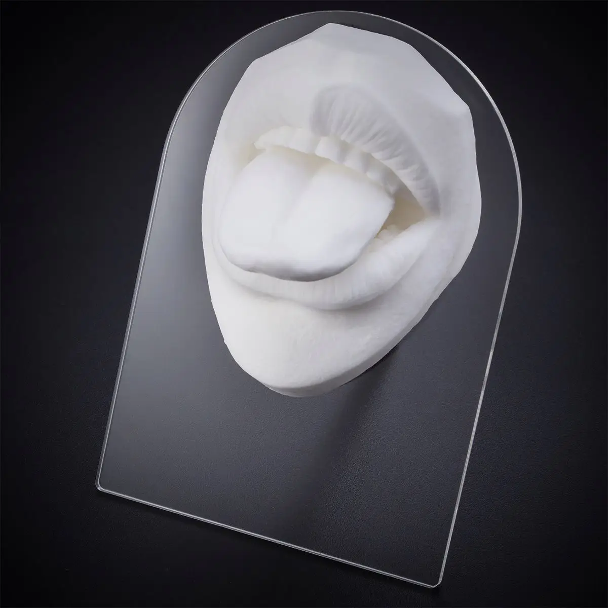 Tongue silicone body silicone model with open mouth is used for practicing or displaying tongue studs and lip studs