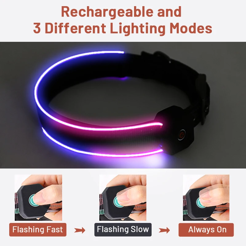 2024 Light Up Led Dog Collar Usb Rechargeable Custom Design Waterproof Night Safety Flashing Glow In The Dark Light Dog Collar