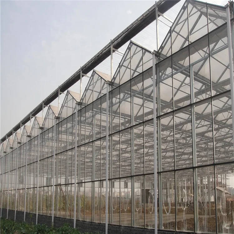 One one 100% automatic light deprivation blackout greenhouse Medical Plant Growing Fully Auto greenhouses