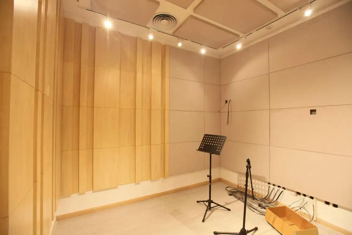 Sound Diffuser Piano Room Project Noise Reduction Acoustic Bass Traps