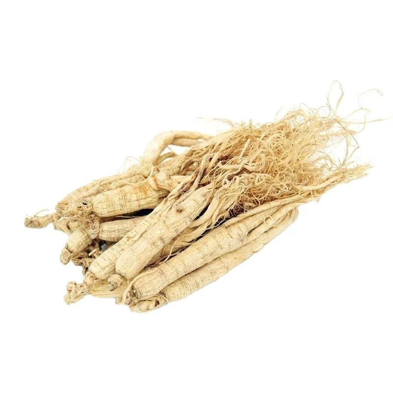 
Fully Dried Whole Panax Ginseng Roots Dried Ginseng Root 15g Each Root 