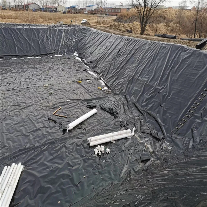 Tear Resistance 0.2mm-2.5mm Dam Waterproof Membrane HDPE Liner Geomembrane