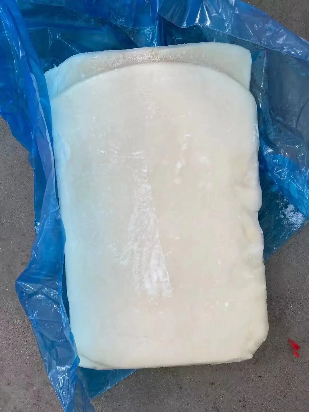 FROZEN GIANT SQUID FILLET