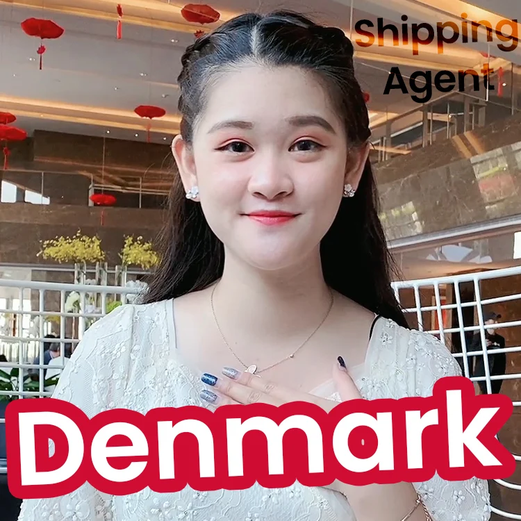 Professional freight forwarder ship to Denmark by sea air express with DDP