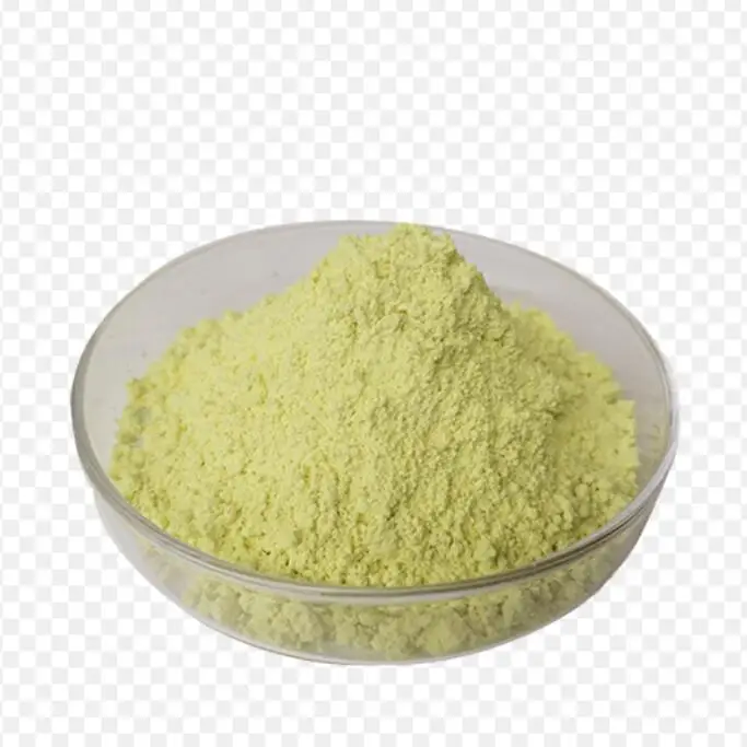 Supply Rutin Sophora Japonica Flower Extract CAS 7085 55 4  troxe rutin powder